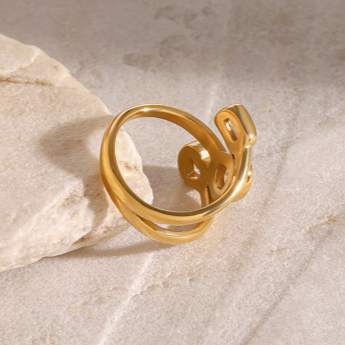 Stainless steel multi-layer ring